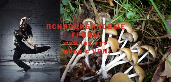 тгк Верея