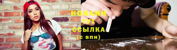 тгк Верея