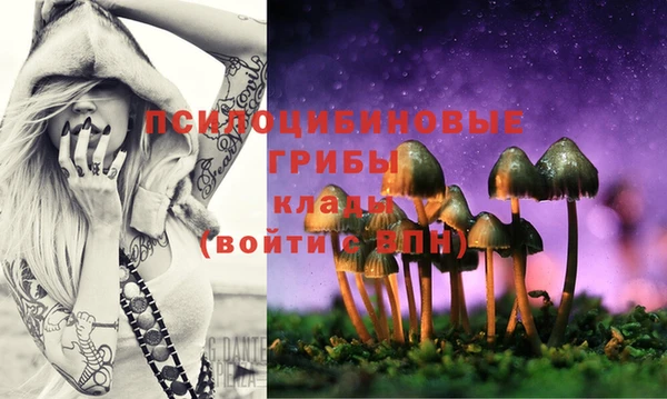тгк Верея