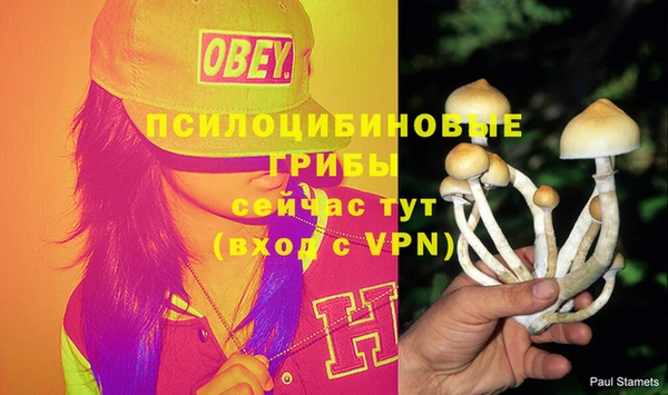 тгк Верея