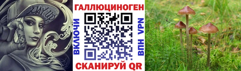 Псилоцибиновые грибы Cubensis  закладка  Симферополь 